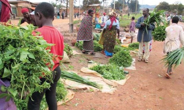 Marché des fourrages de Butembo © Photo Robert Mwenderwa