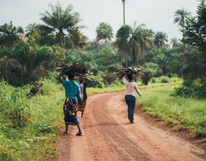 Gestion des limites du parc de virunga