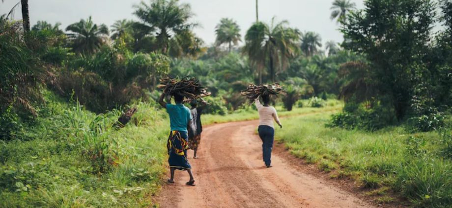 Gestion des limites du parc de virunga