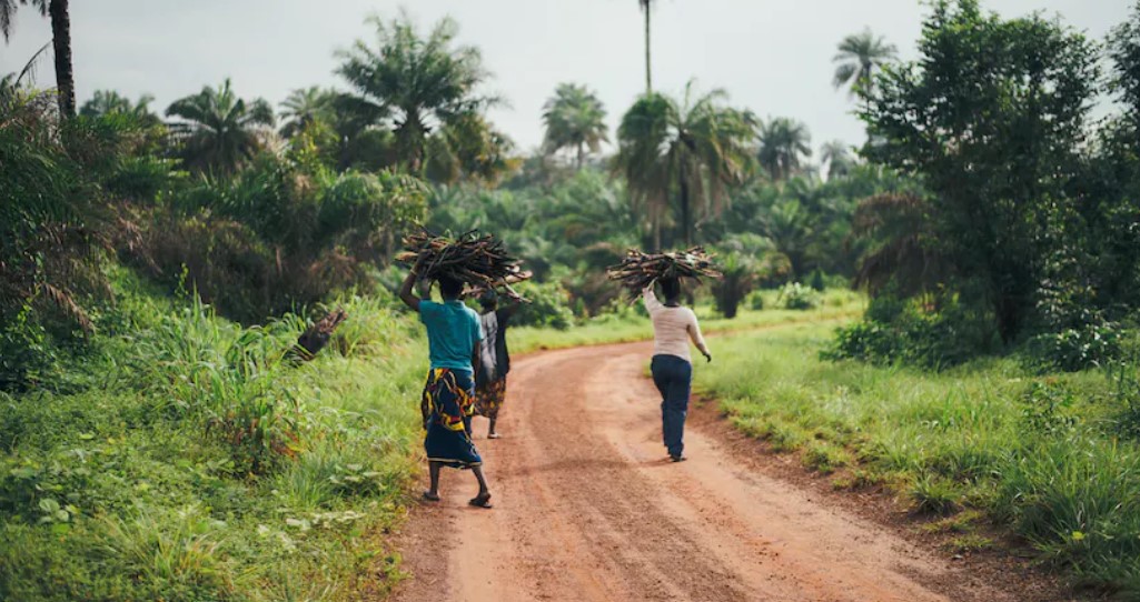 Gestion des limites du parc de virunga